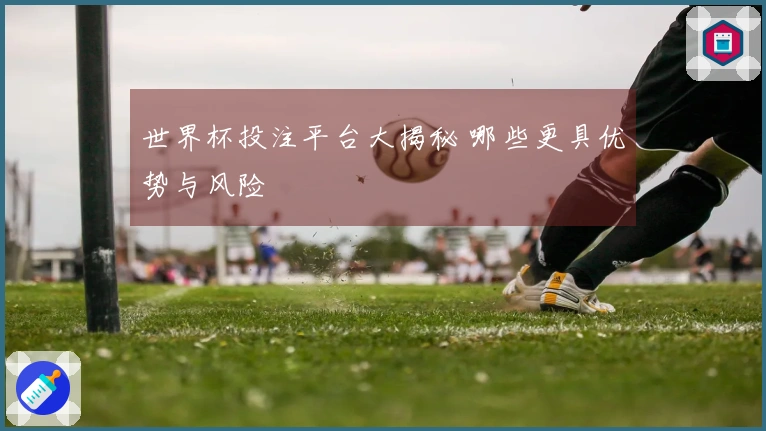 世界杯投注平台大揭秘 哪些更具优势与风险