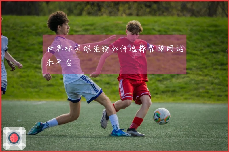 世界杯买球竞猜如何选择靠谱网站和平台