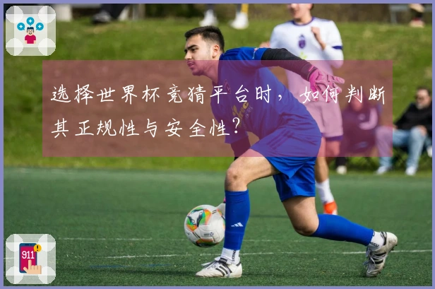 选择世界杯竞猜平台时，如何判断其正规性与安全性？