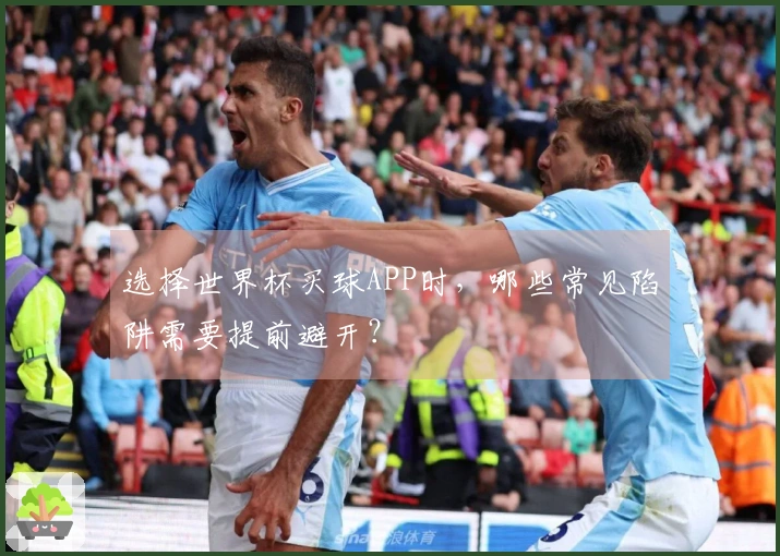 选择世界杯买球APP时，哪些常见陷阱需要提前避开？