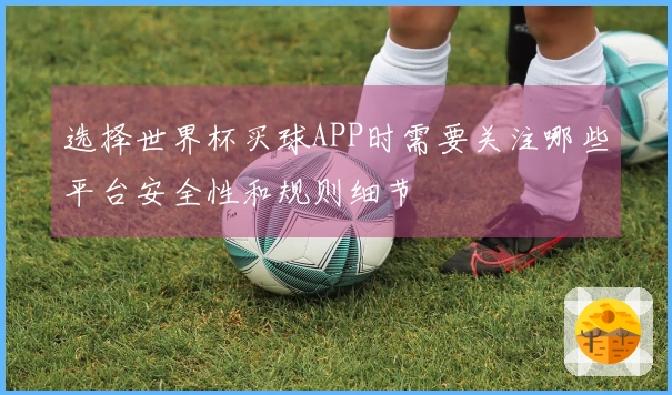 选择世界杯买球APP时需要关注哪些平台安全性和规则细节