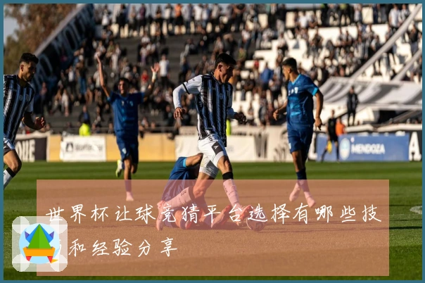 世界杯让球竞猜平台选择有哪些技巧和经验分享