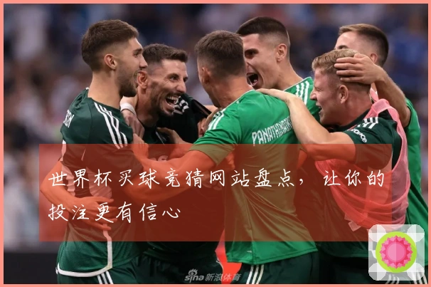 世界杯买球竞猜网站盘点，让你的投注更有信心