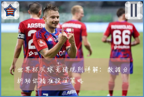 世界杯买球竞猜规则详解：数据分析助你精准投注策略
