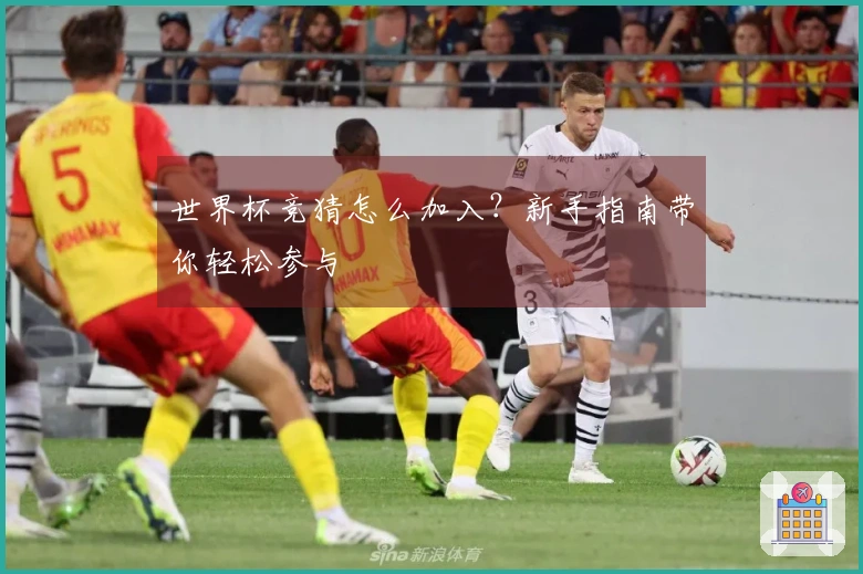 世界杯竞猜怎么加入？新手指南带你轻松参与