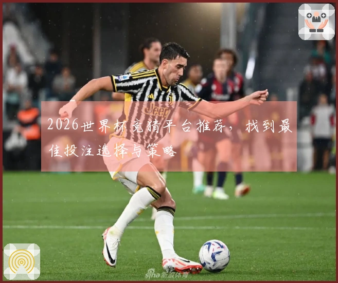 2026世界杯竞猜平台推荐，找到最佳投注选择与策略