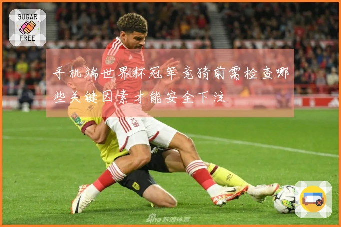 手机端世界杯冠军竞猜前需检查哪些关键因素才能安全下注