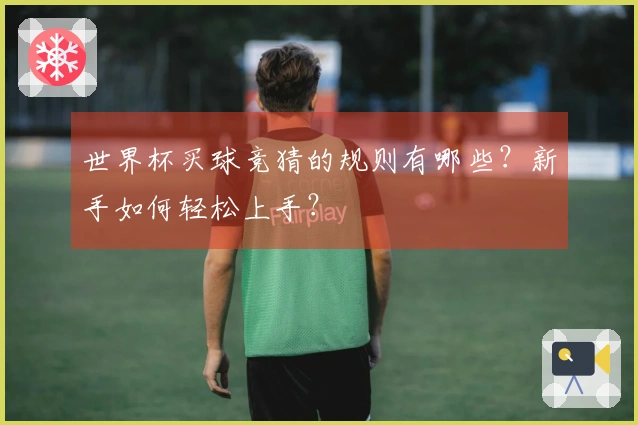 世界杯买球竞猜的规则有哪些？新手如何轻松上手？
