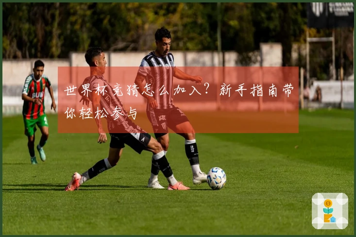 世界杯竞猜怎么加入？新手指南带你轻松参与