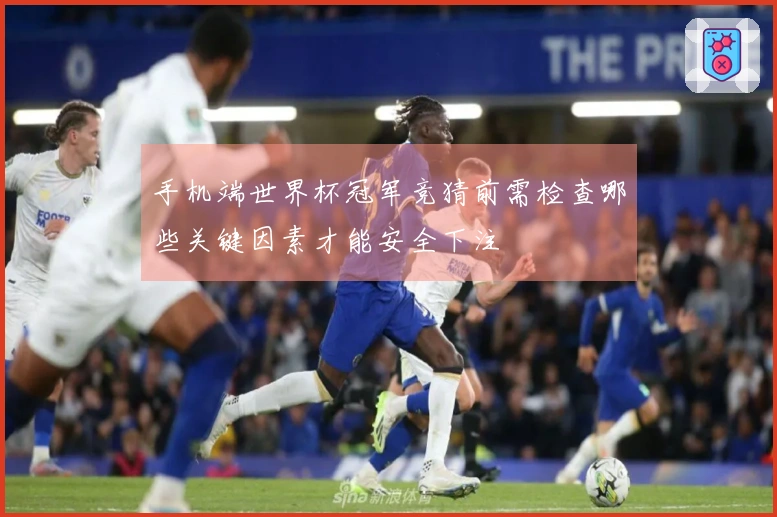 手机端世界杯冠军竞猜前需检查哪些关键因素才能安全下注