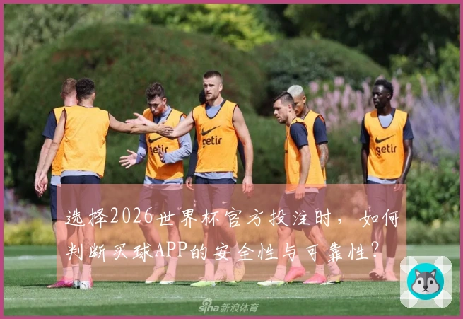 选择2026世界杯官方投注时，如何判断买球APP的安全性与可靠性？